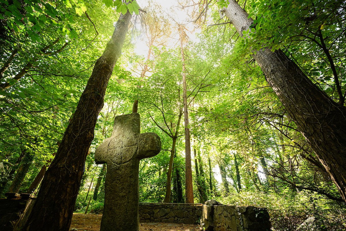 stone Celtic cross in a forest clearing, trees towering overhead